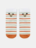 Lehmgrüne, orange und cremefarbene gestreifte Socken KAAMI / 24E4BG34SOQA001