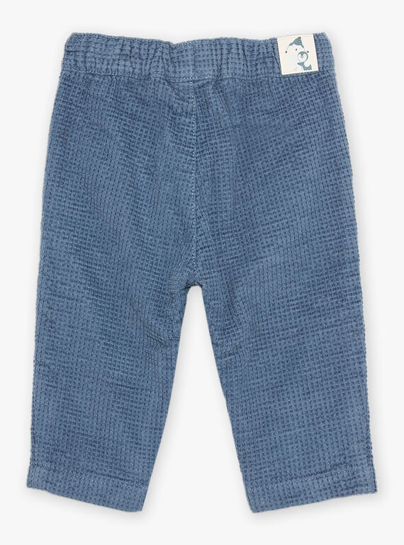 Blaugraue Cordhose DASECTOR / 22H1BGY2PAN205