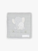 Set von 6 sortierten Tüchern Elefanten Geburt gemischt COX / 22E0AMC1ACD000
