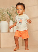 T-Shirt aus Jersey in Ecru und Orange mit Streifenprint und pastellfarbenen Meerestiermotiven KAYVAN / 24E1BGS1TEEB116