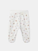 Light rose SET NOELINE / 25H0NF21ENS318