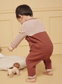Orange BABYGROW LEALEXIS / 24H5BG37GREE406