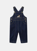 DUNGAREES MAAYME / 25E1BG71SALP271