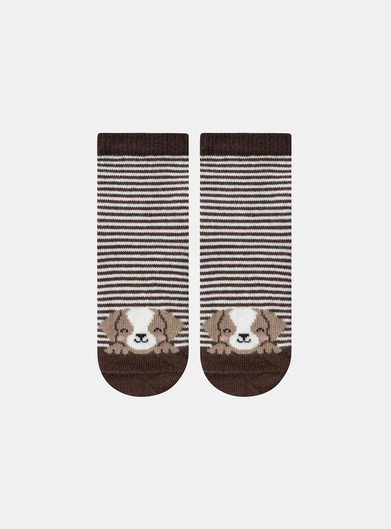 Brown SOCKS LAFRANZ / 24H4BGK1SOQ815