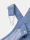 Blue DUNGAREES MACESAR / 25E1BG81SALC209
