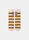 Vanilla SOCKS MASOCAGE / 25E4PG71SOQ114