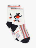 5 Paar mehrfarbige Socken mit halber Wadenlänge GOSOCKAGE / 23H4PGD1LC5070
