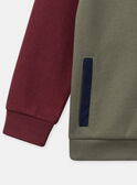 Khakifarbenes Kapuzensweatshirt mit Reißverschluss KICARDAGE / 24E3PGC1GIL604