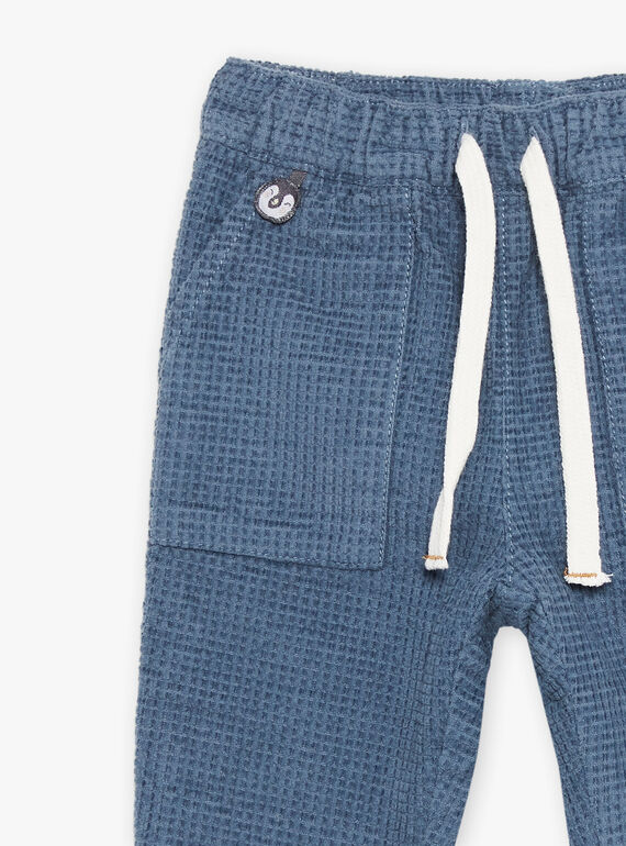 Blaugraue Cordhose DASECTOR / 22H1BGY2PAN205