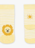Gestreifte gelbe Socken mit Jacquard-Löwe FAARNOLD / 23E4BG82SOQ001
