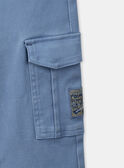 Schmale Cargohose, blau gefrostet LESLIMAGE / 24H3PGJ1PANC206