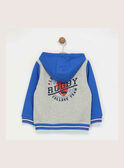Grau melierte Joggingjacke RAJOTAGE 1 / 19E3PGB1JGH943