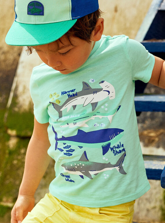Türkisfarbenes T-Shirt mit Hai-Aufdruck für Kind Junge COTIFAGE / 22E3PGN1TMC203