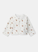 Off white SET NOOMI / 25H0NM21ENS001