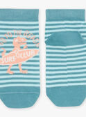 Blaue Socken mit Streifenmuster und Dinosauriermotiv FLUSTRAGE / 23E4PGQ1SOQ205