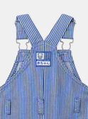 Blue DUNGAREES MACESAR / 25E1BG81SALC209