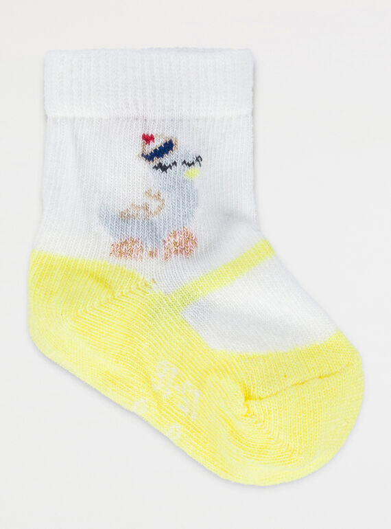 Off white Socks NAFLAVY / 18E4BFF1SOQ001