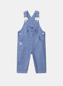 Blue DUNGAREES MACESAR / 25E1BG81SALC209