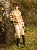 Brown POLO SHIRT MADOAGE / 25E3PG71POL812