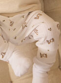 Heather beige SET MORRIS / 25E0CG23ENSA011