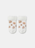 Light rose SOCKS NOLINE / 25H0AF21SOQ318