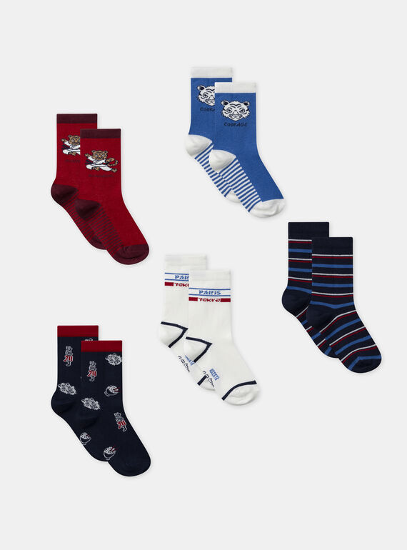 5er-Pack Socken gestreift, gemustert oder einfarbig, Jungen NOPAKAGE / 25H4PGP1LC5A015