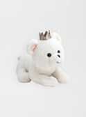 Multicolor SOFT TOYS royal bear / 20J7GF35PE2099