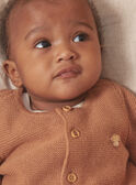 Strickjacke in Haselnussbraun LONARD / 24H0CM11CAR821