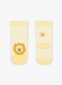 Gestreifte gelbe Socken mit Jacquard-Löwe FAARNOLD / 23E4BG82SOQ001
